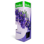 Mikado Tenka Best Lavanda 100 ml - Imagen 3