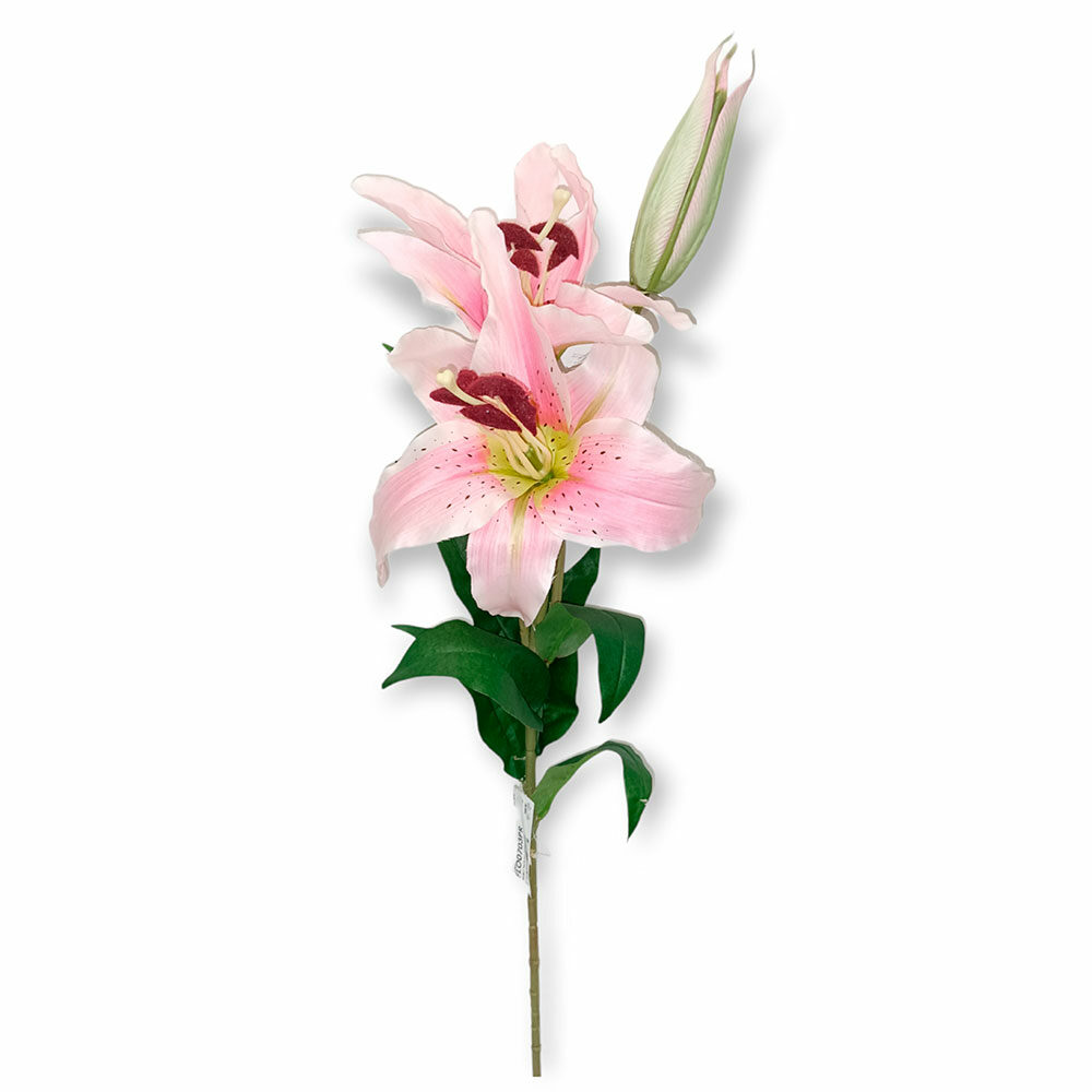 Vara Lili X3  Palo De Rosa