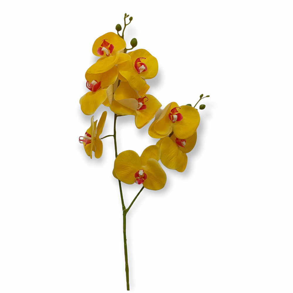 Orquidea Doble H90Cm X D10Cm Amarillo