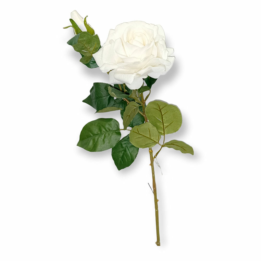 Vara De Rosa H70Cm X D12Cm Blanco