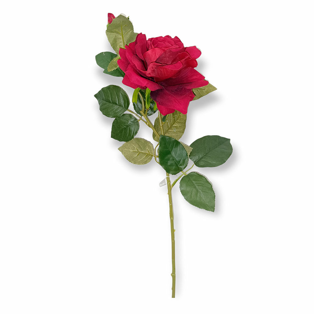 Vara De Rosa H70Cm X D12Cm Borgoña