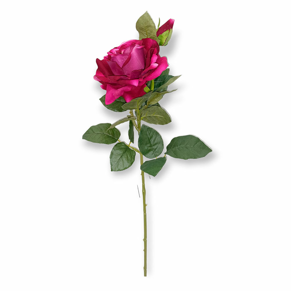 Vara De Rosa H70Cm X D12Cm Fucsia