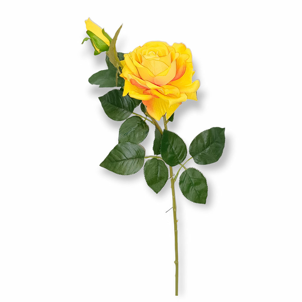 Vara De Rosa H70Cm X D12Cm Naranja