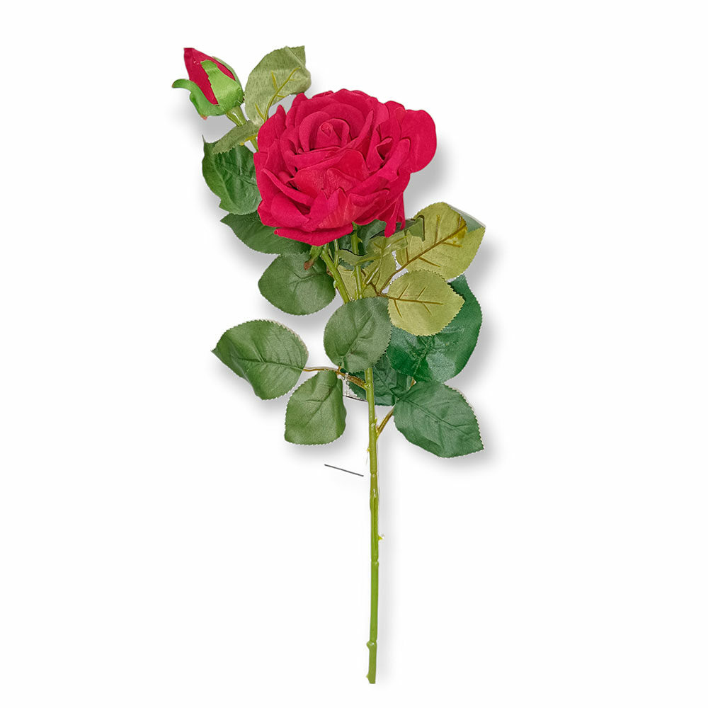 Vara De Rosa H70Cm X D12Cm Rojo