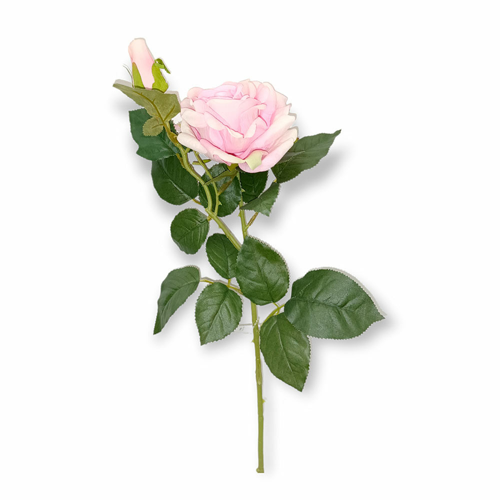 Vara De Rosa H70Cm X D12Cm Rosa