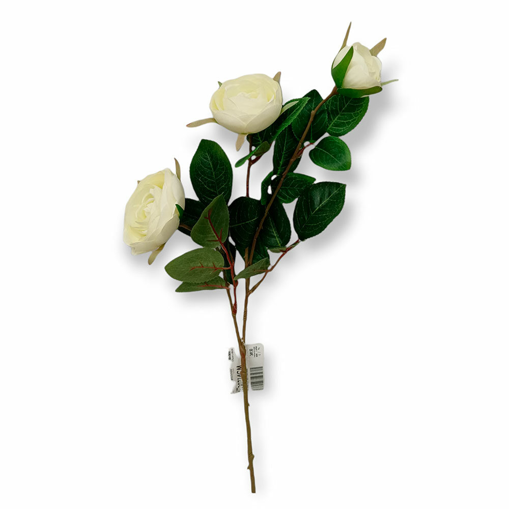 Vara Camelia H70Cm X D8Cm Crema