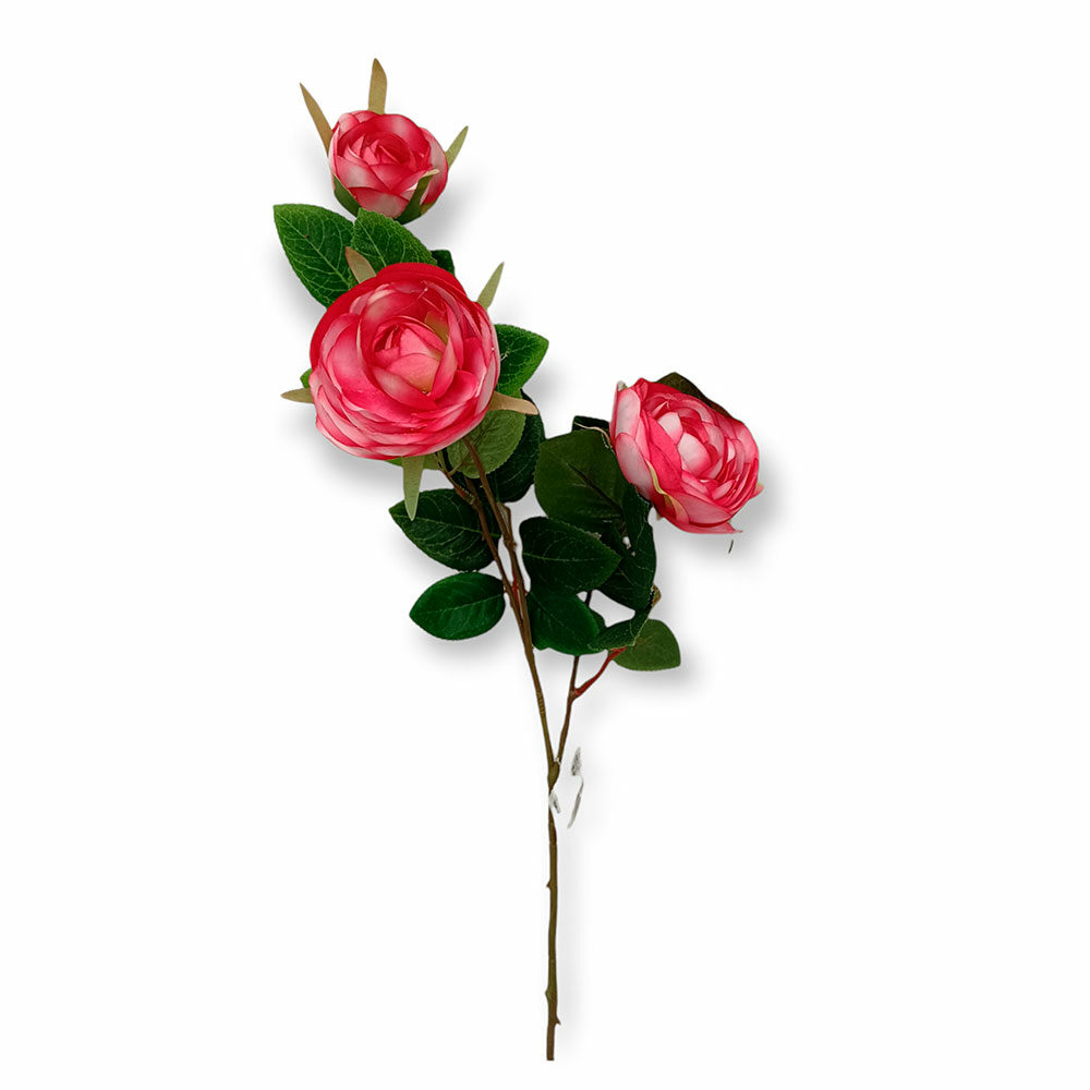 Vara Camelia H70Cm X D8Cm Rosa