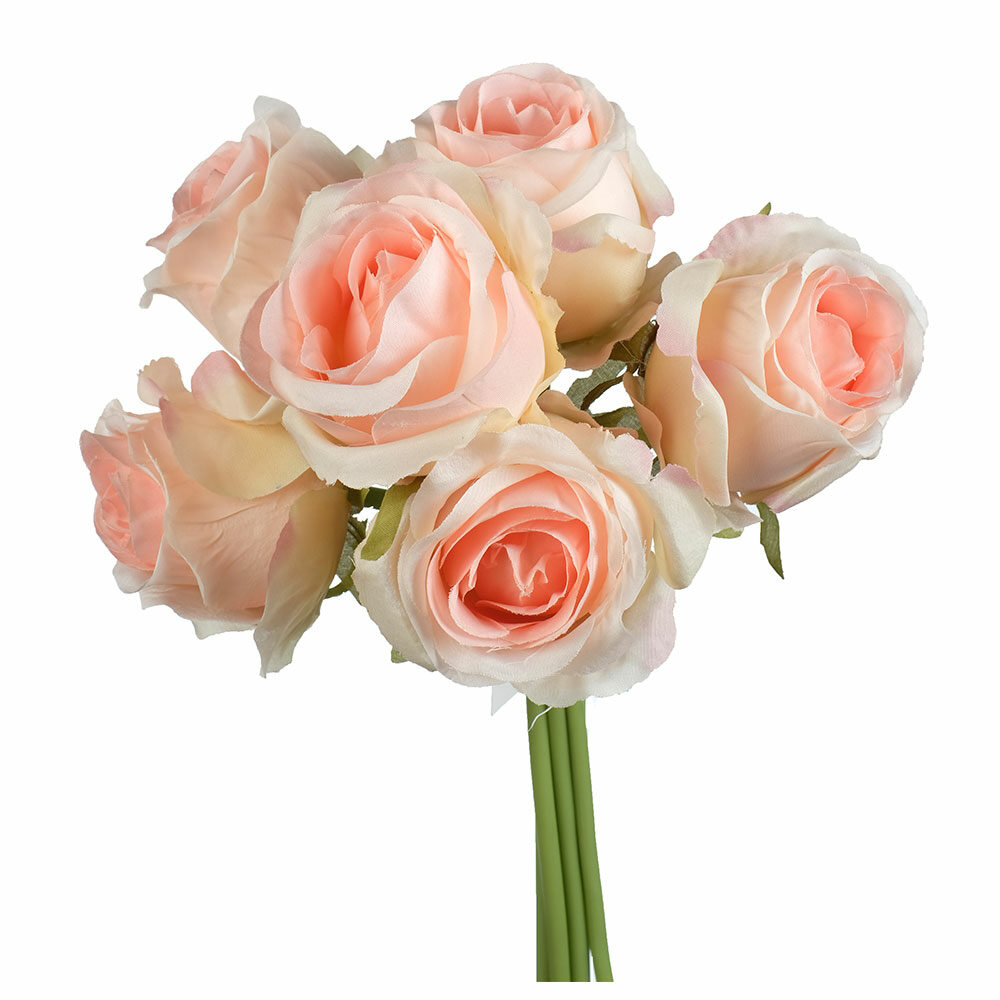 Ramo De Rosas (6 Flores) 30Cm Palo De Rosa