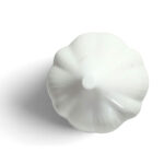 Contenedor para Ajos Blanco - Imagen 4