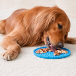 Tapete De Alimentacion Redondo Para Mascotas 15 Cm Silicon Azul - Imagen 5