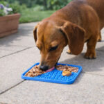 Tapete De Alimentacion Cuadrado Para Mascotas 20 Cm Silicon Azul - Imagen 3