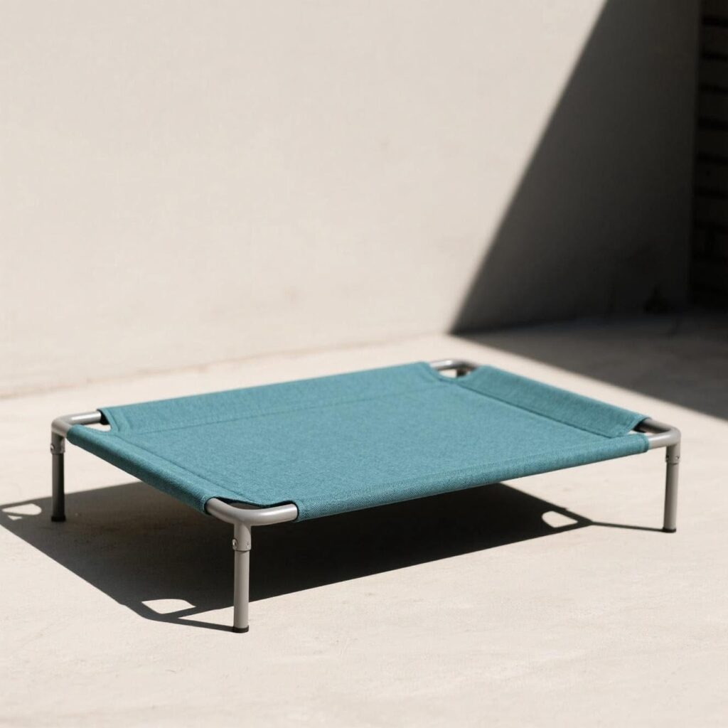 Imagen de WhatsApp 2025 11 25 a las 14.56.40 996933ee